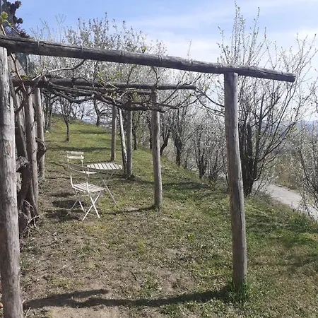 Casa Nebieu In Edificio Indipendente Nel Centro Di Monforte * Monforte D'Alba